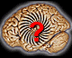 Quiz from Sumer K. Sethi's book