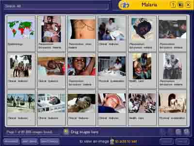 MALARIA 2nd Edition, A searchable database 