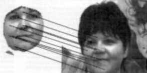 The Handbook of Brain Theory and Neural Networks, second Edition, edited by Michael A. Arbib