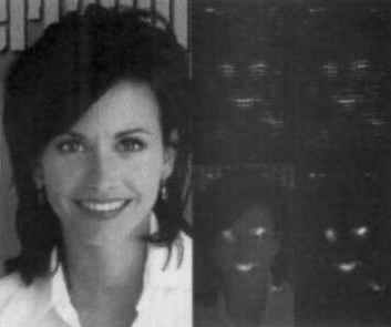 The Handbook of Brain Theory and Neural Networks, second Edition, edited by Michael A. Arbib