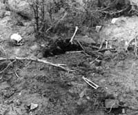 Vandalism of osteological remains in an archaeological context