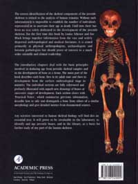 Developmental Juvenile Osteology