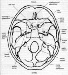 Postmortem technique handbook