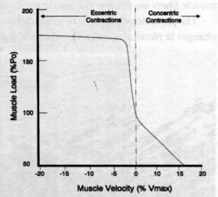 force-velocity relationship for skeletal muscle