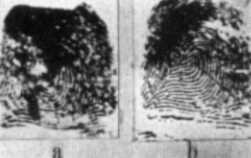 Fingerprints of Will West and William West