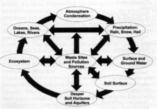 Hydrogeopollution cycle