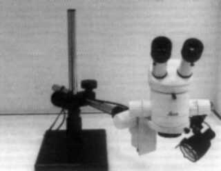 Stereo microscope on a long-arm stand