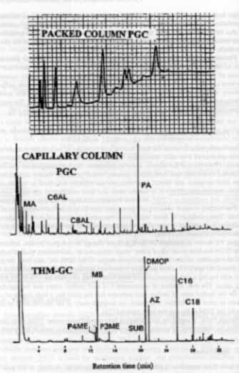Pyrograms obtained by packed column PyGC, capillary column PyGC and THM-GC 