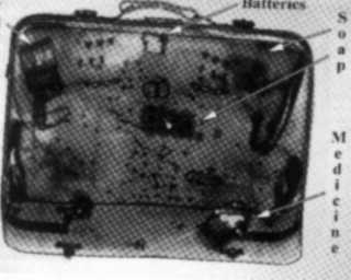 Outpur from dual energy X-ray system 