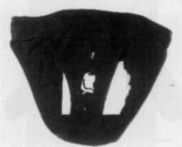 The front of the underpants