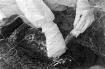 Making serial tapings