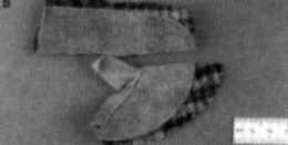 suede and woven fibre glove after being sectioned for analysis