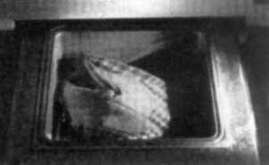 insertion of the sectioned glove into the SEM chamber