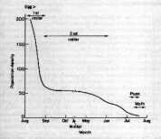 Survivorship curve of the spruce budworm
