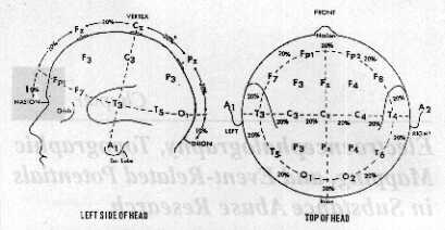 the 10-20 International System for Electrode Placement