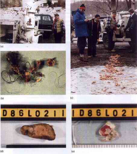 Wood chipper murder case
