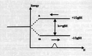 Electron Paramagnetic Resonance in Biochemistry and Medicine