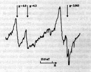 Electron Paramagnetic Resonance in Biochemistry and Medicine