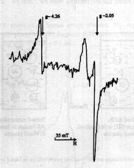 Electron Paramagnetic Resonance in Biochemistry and Medicine