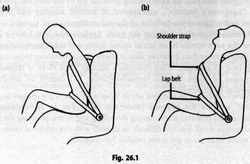 Mechanism of Whiplash injuries