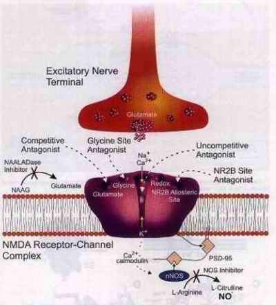 Glutamate and Addiction