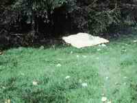 A sheet partially covers Martha Moxley's body found in the backyard