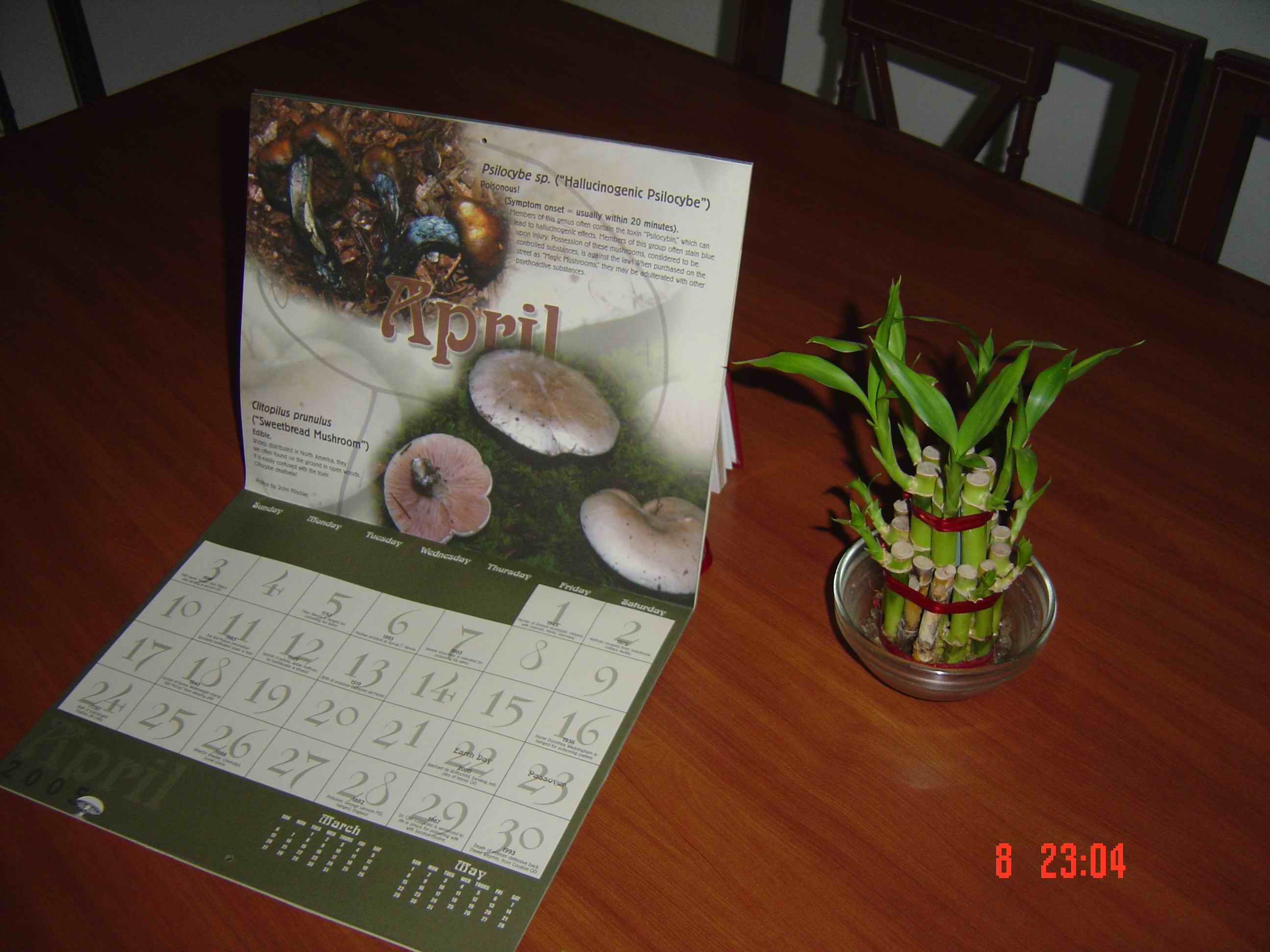 Calenders/Charts/Posters related to forensics and toxicology
