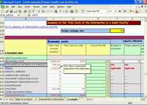 Figure 3. This template assembles information on the quantities of inputs used in an intervention and their unit prices.